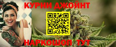 ALPHA PVP Гатчина