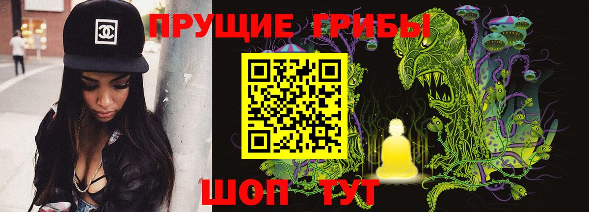 Псилоцибиновые грибы мухоморы  Вход с VPN  Псилоцибиновые грибы мухоморы  Волгоград 