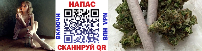 Каннабис OG Kush  цена   Волгоград 